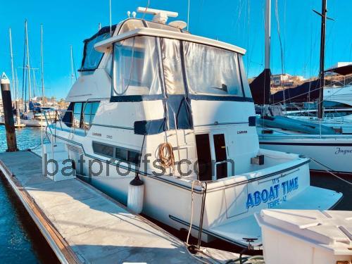 Carver 390 CPMY recensioner och tekniska specifikationer